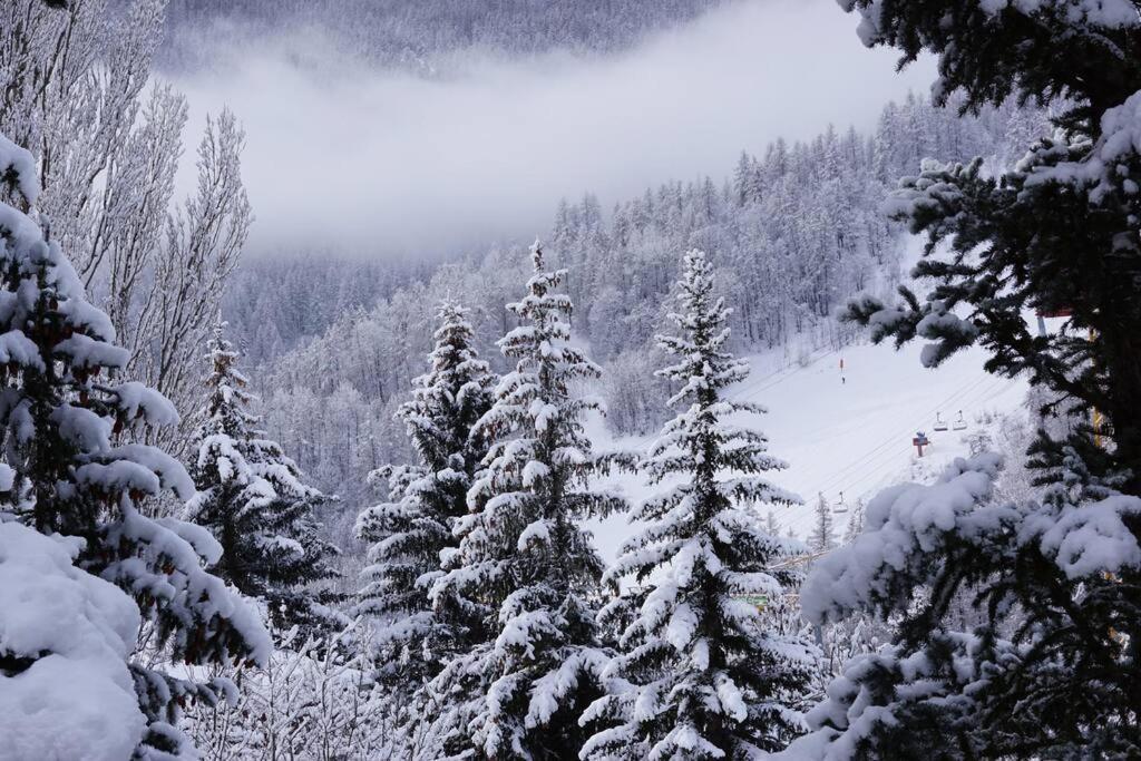 Serre Chevalier,Chantemerle,T2 Proche Pistes Сен-Шафре Экстерьер фото